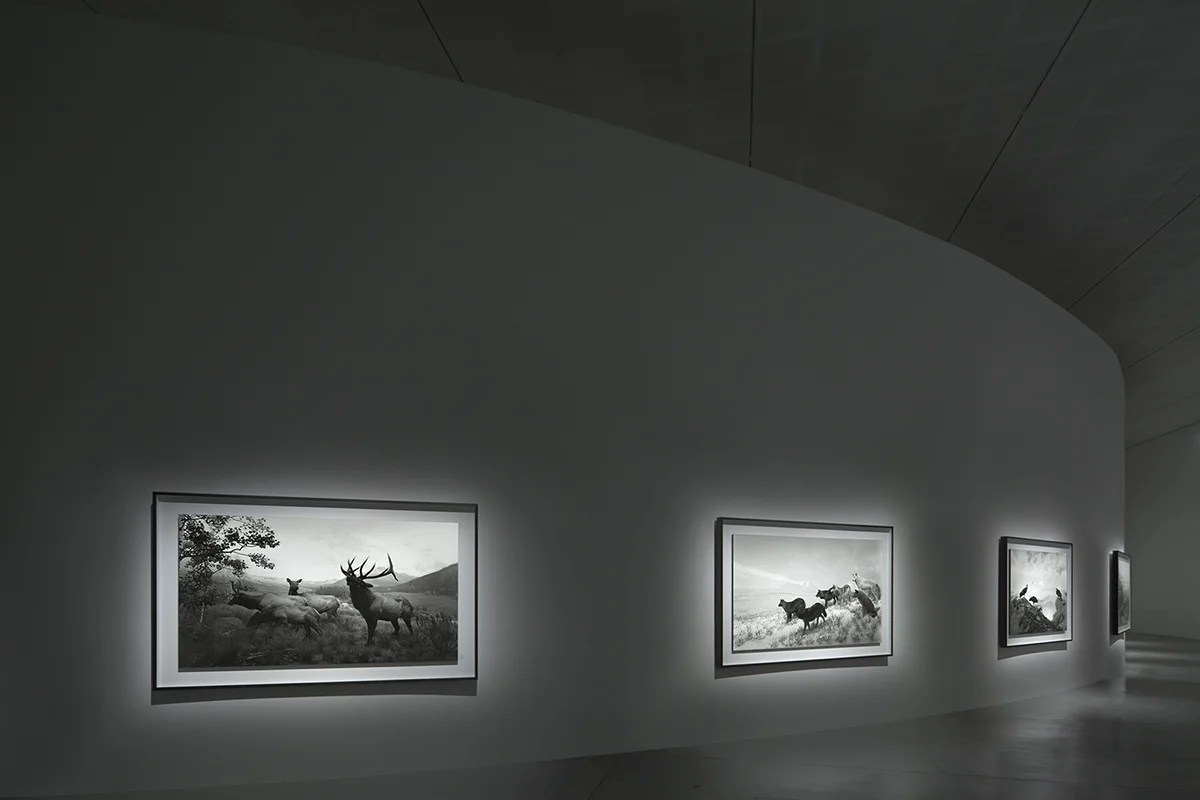 Exhibitions — Hiroshi Sugimoto